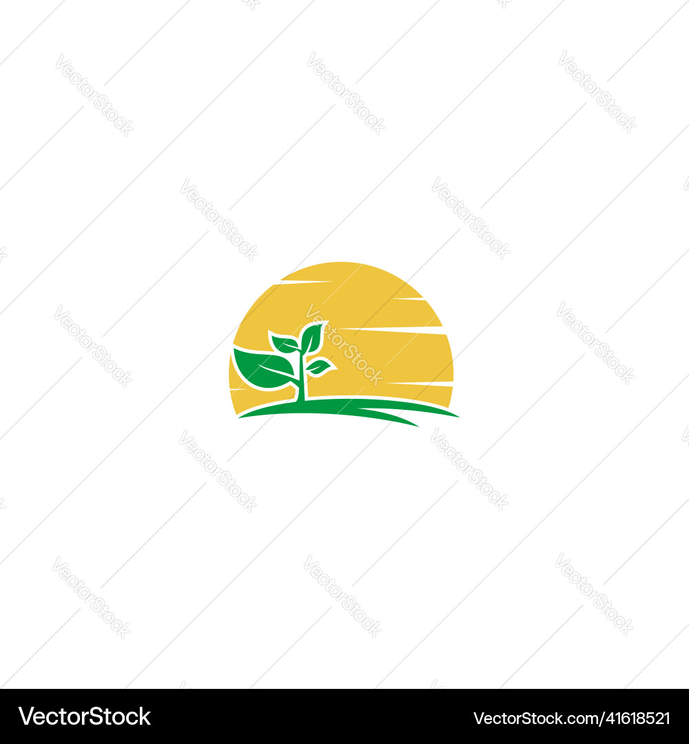 Plant seed nature logo Royalty Free Vector Image
