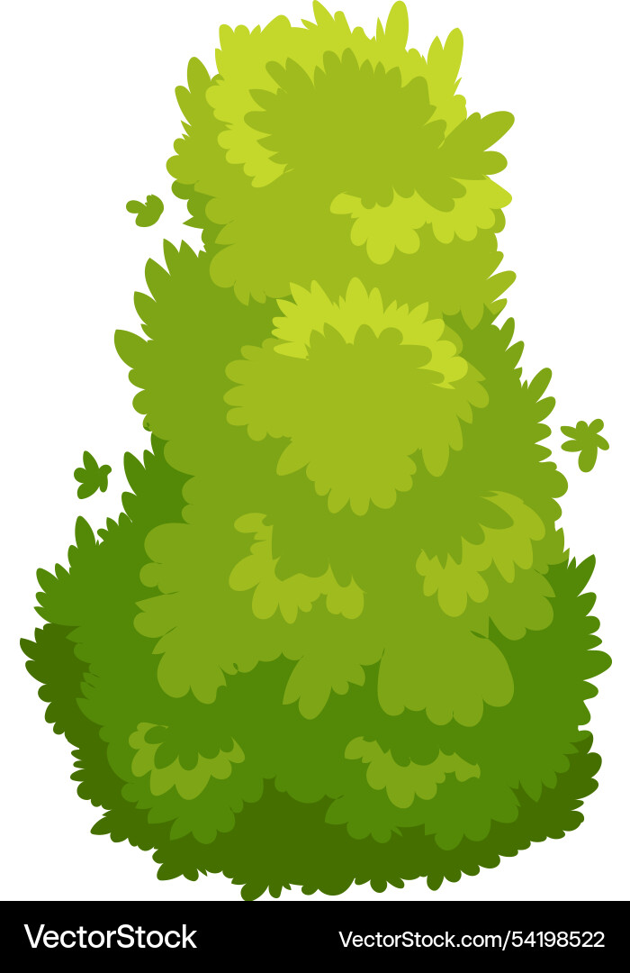 Green bush growing in a park representing nature Green bush growing in a park representing nature vector image