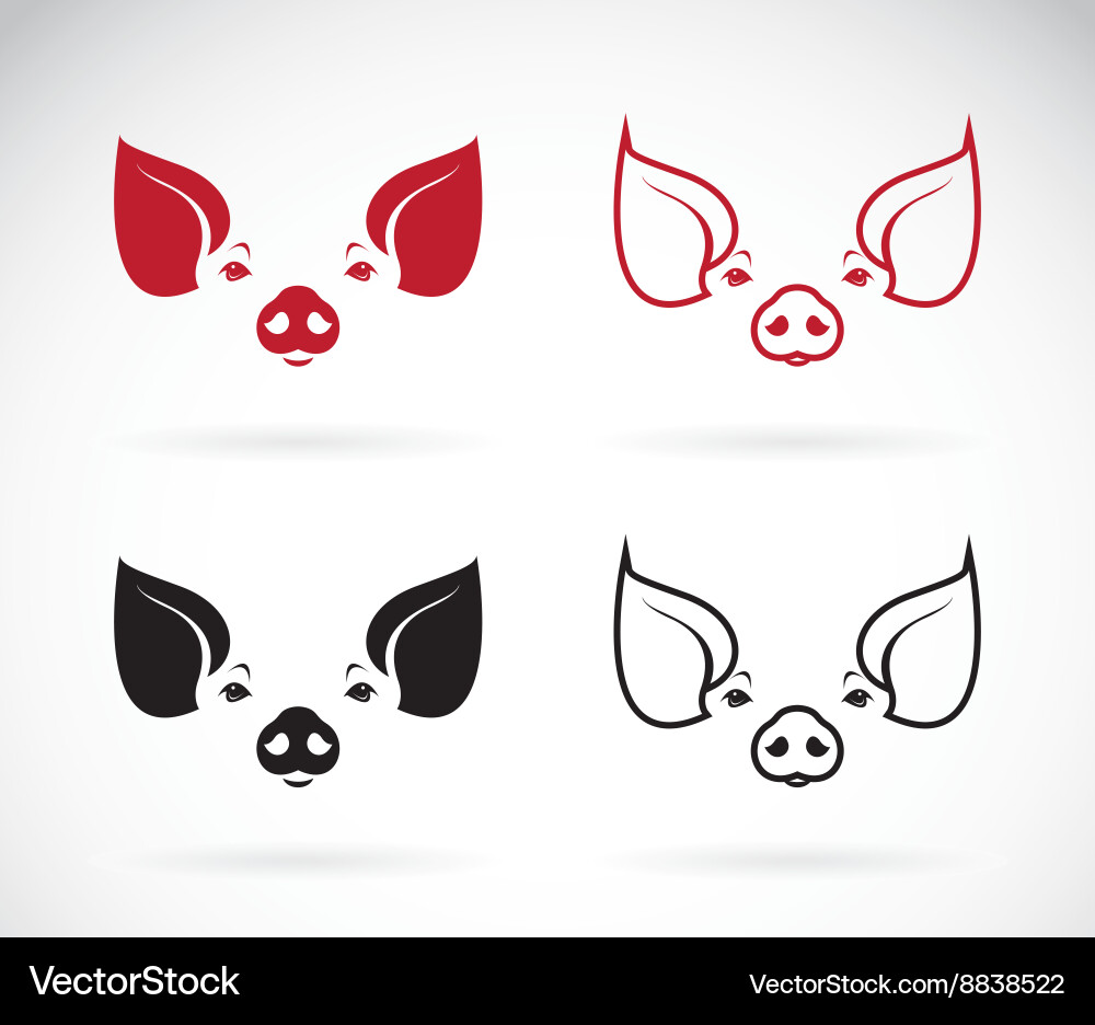 Image of an pig head Vector Image