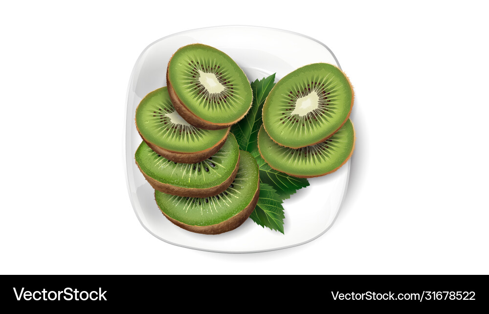 Kiwi slices and leaves on a white plate vector image