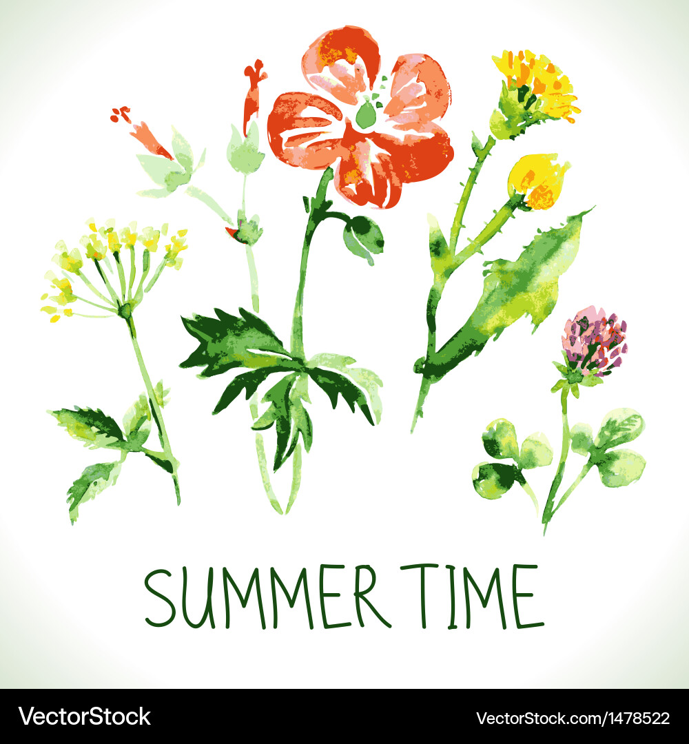 Watercolor Floral Background Vector Image