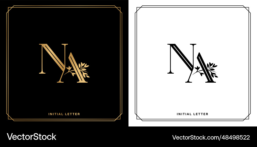 Web Vector Image