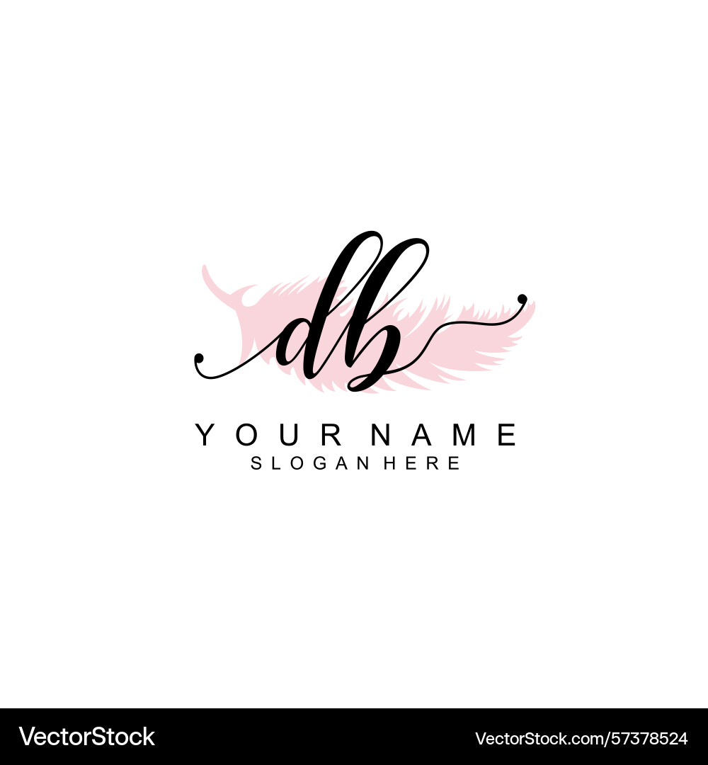 Minimalist handwritten db initial logos vector image