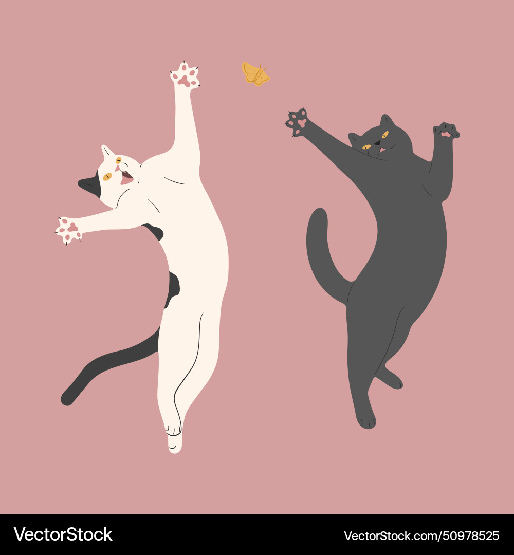 Cat vs cat Royalty Free Vector Image - VectorStock
