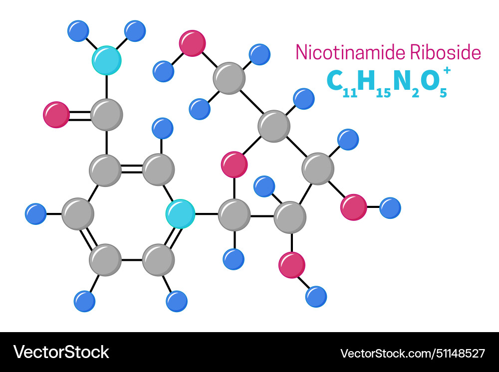 Nicotinamide riboside or vitamin b3 molecule Vector Image