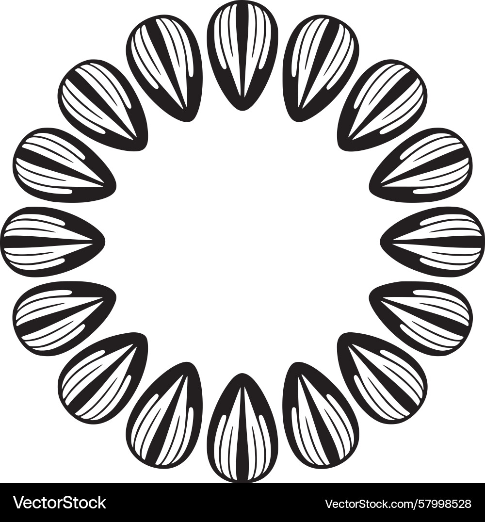 Circular Seashell Symmetry Pattern Vector Image