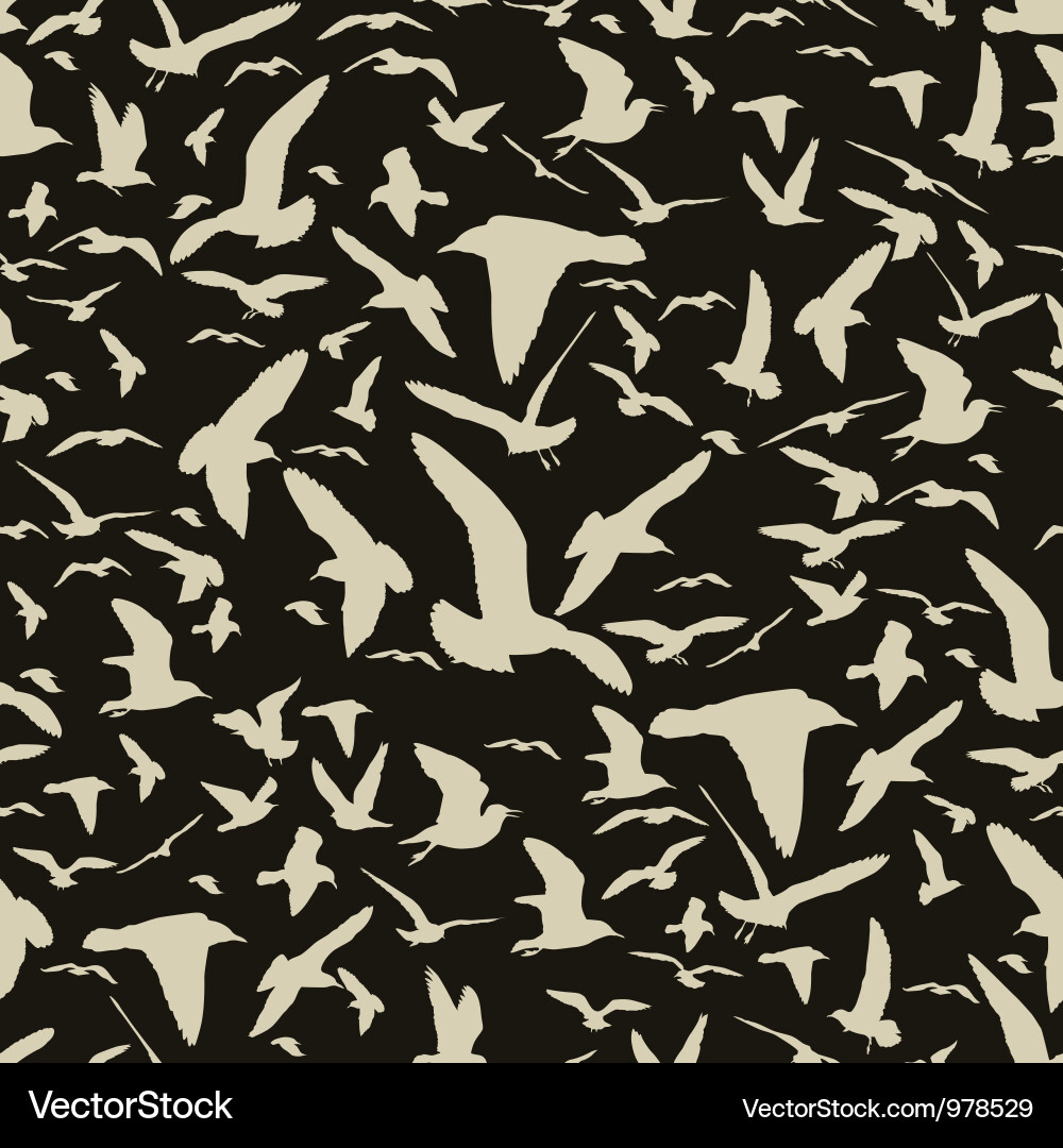 Seamless pattern with seagull silhouettes Vector Image
