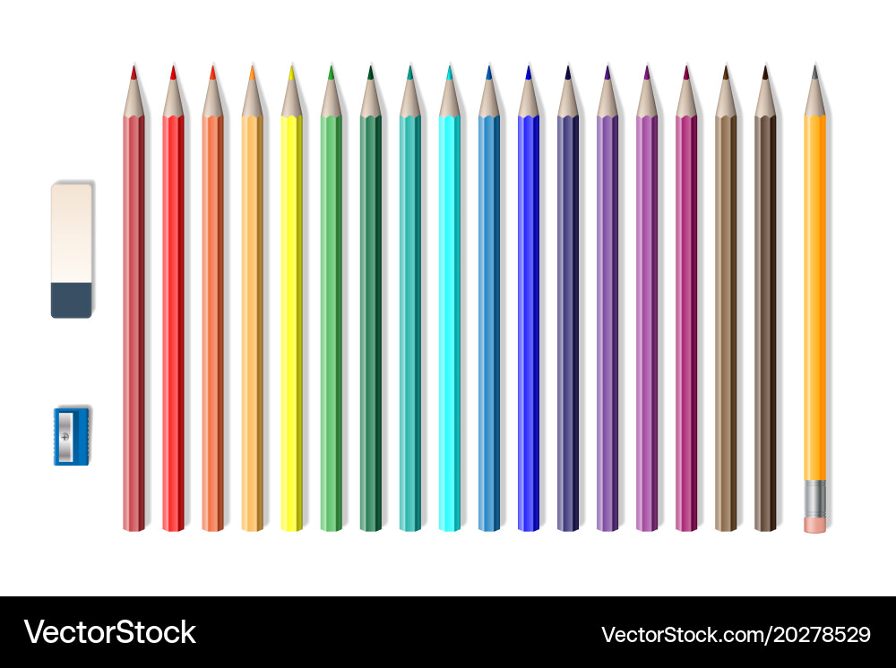 Set of colored realistic pencils with sharpener vector image