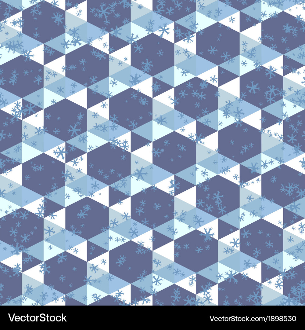 Triangle hexagon and snowflake Vector Image