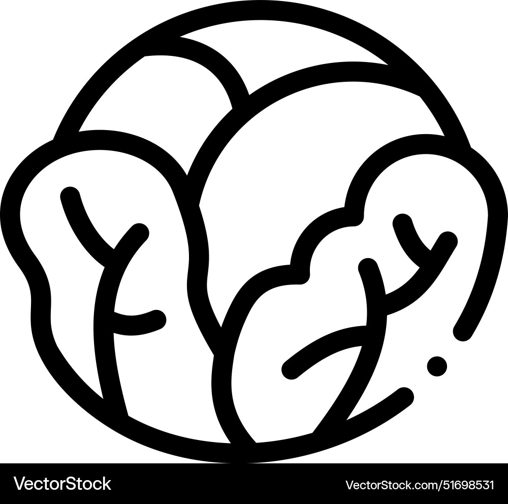 Cabbage icon thin linear style design isolated Cabbage icon thin linear style design isolated vector image