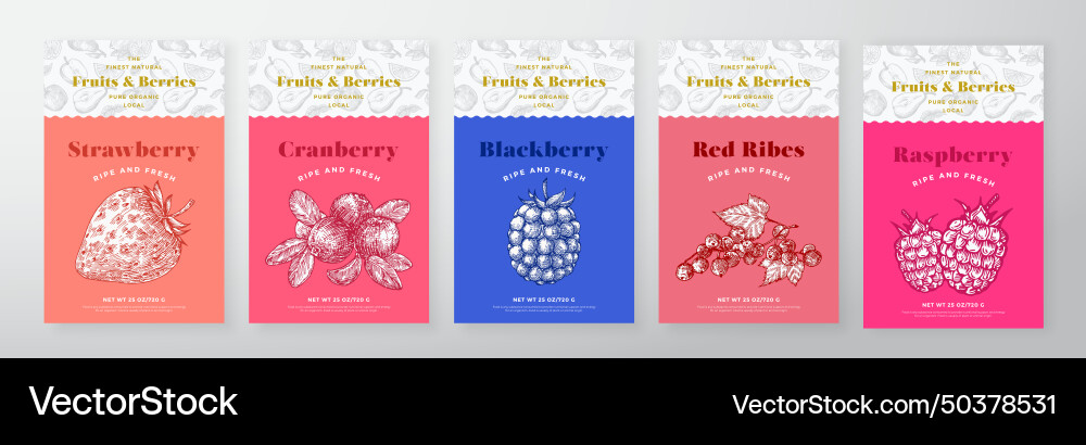 Raspberry berries and fruit pattern label Raspberry berries and fruit pattern label vector image
