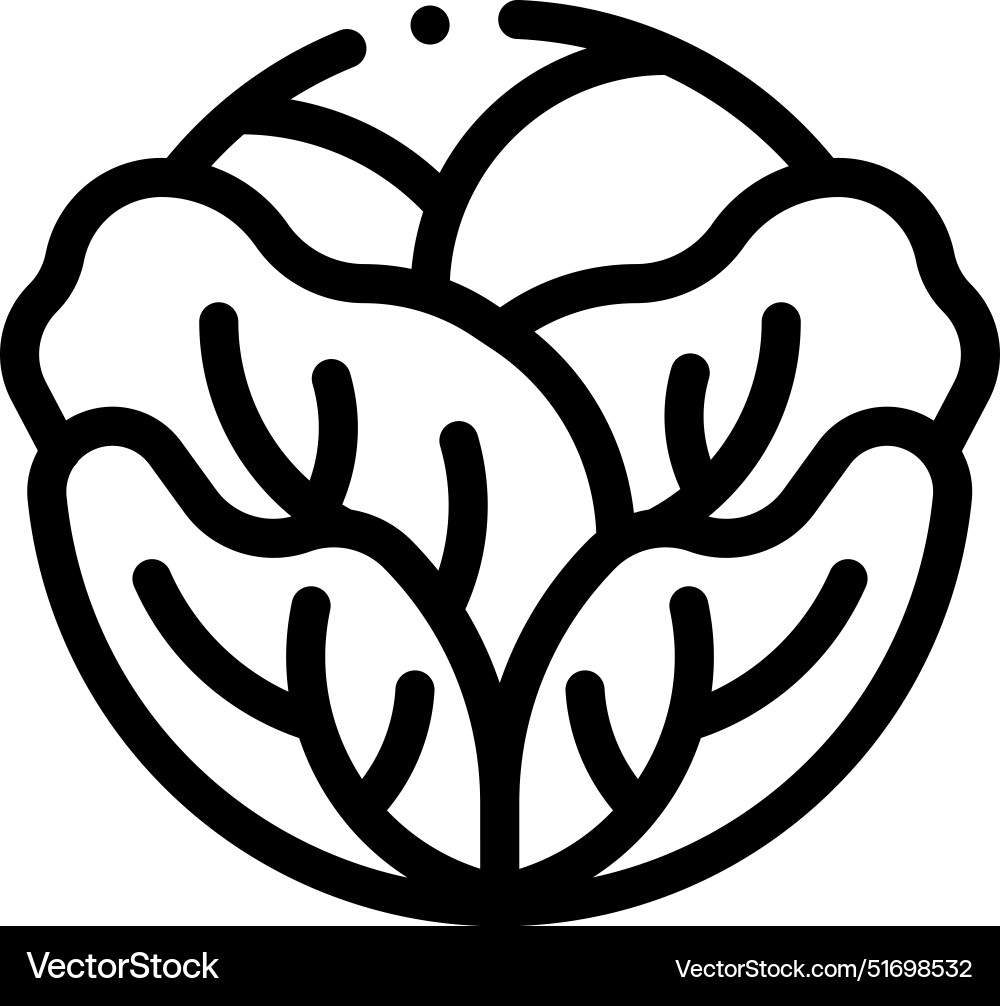 Cabbage icon thin linear style design isolated Cabbage icon thin linear style design isolated vector image