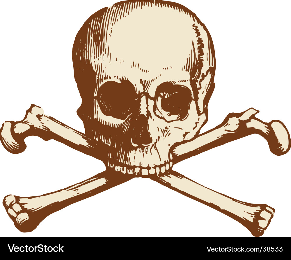 Skull and Crossbones Symbol Vector Image