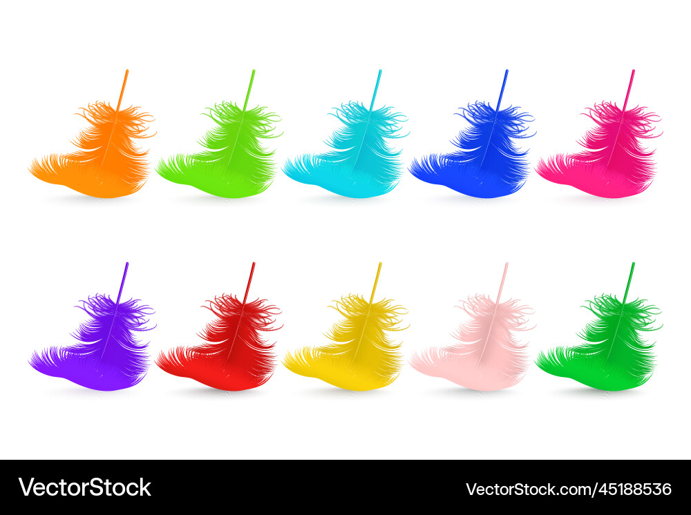 3d realistic multicolored fluffy feather 3d realistic multicolored fluffy feather vector image