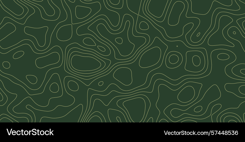 Abstract topographic patterns display fluid lines vector image