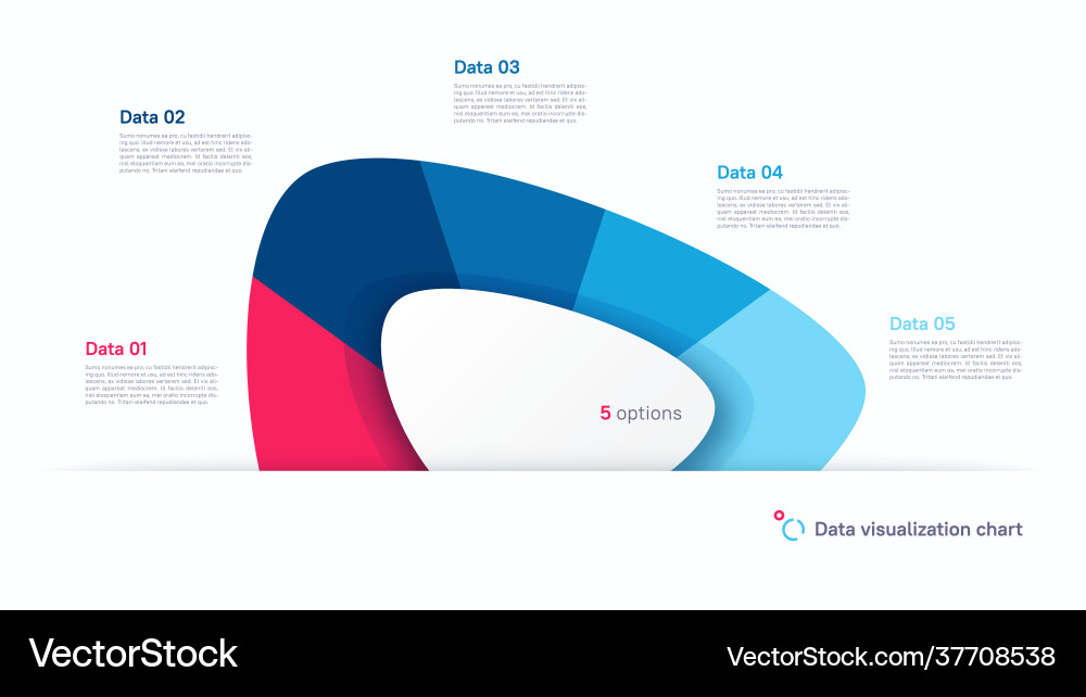 Abstract Pie Chart Infographic Template Vector Image
