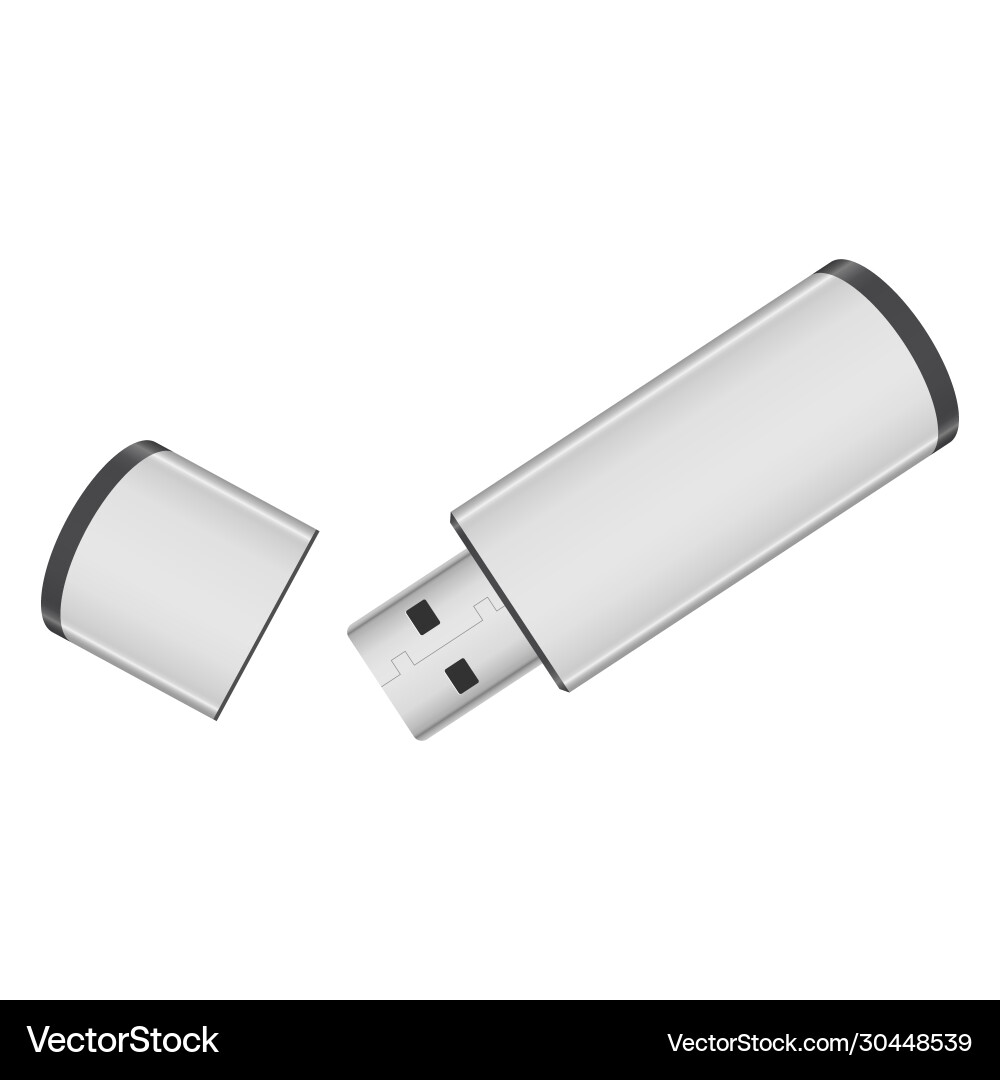 Memory stick Memory stick vector image