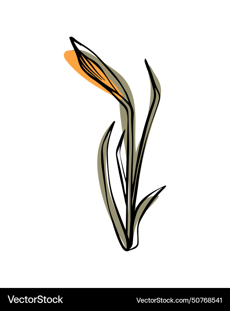 Narcissist in sketch style with abstract color Narcissist in sketch style with abstract color Vector Image