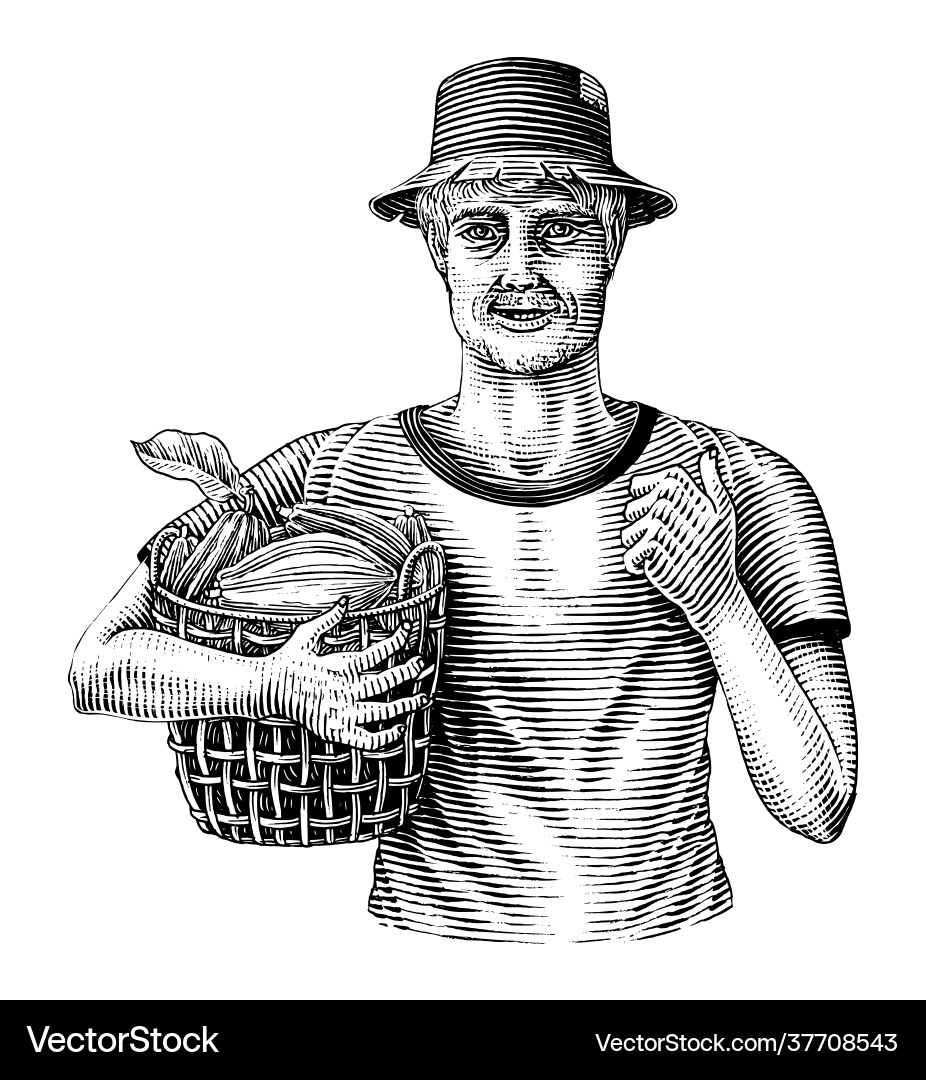 Men holding baskets cocoa fruit hand draw Men holding baskets cocoa fruit hand draw vector image