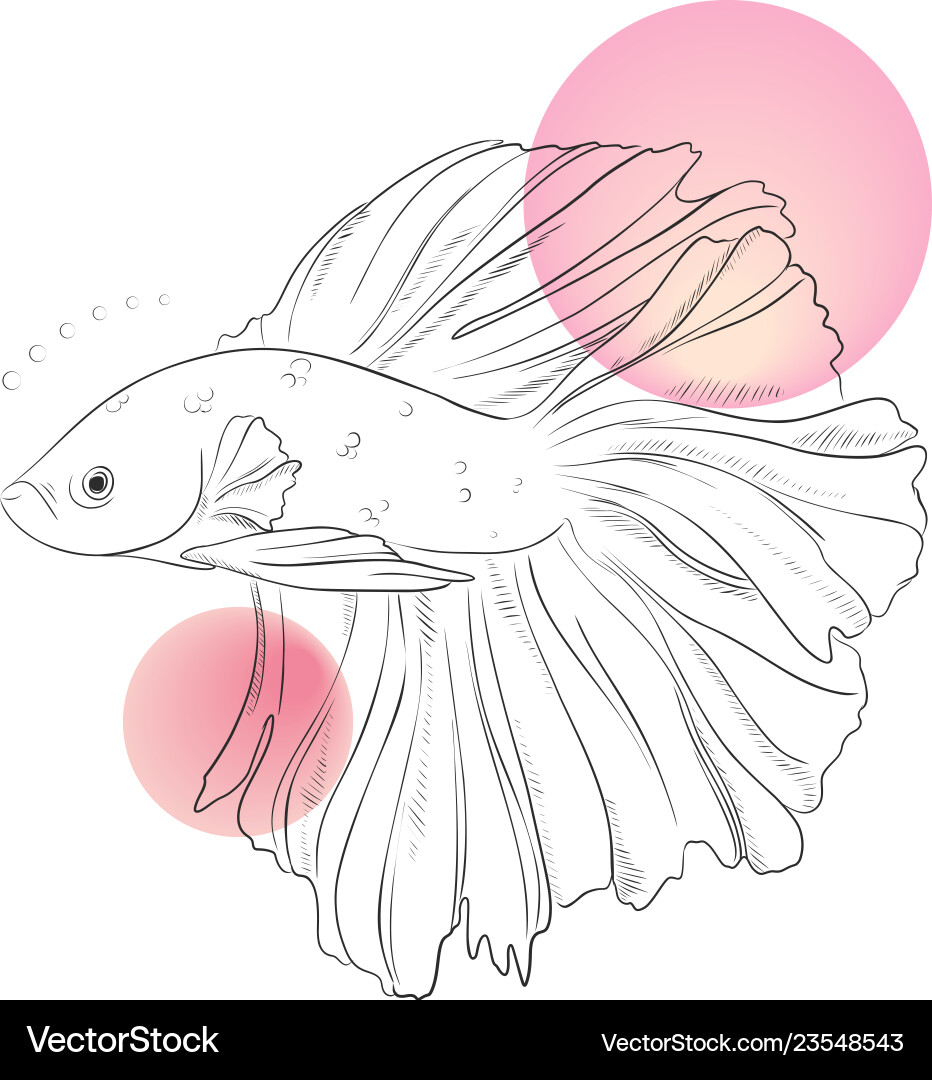 Schöne Gold Fisch unter Wasser Linie Kunst Meer Schöne Gold Fisch unter Wasser Linie Kunst Meer vektorbild