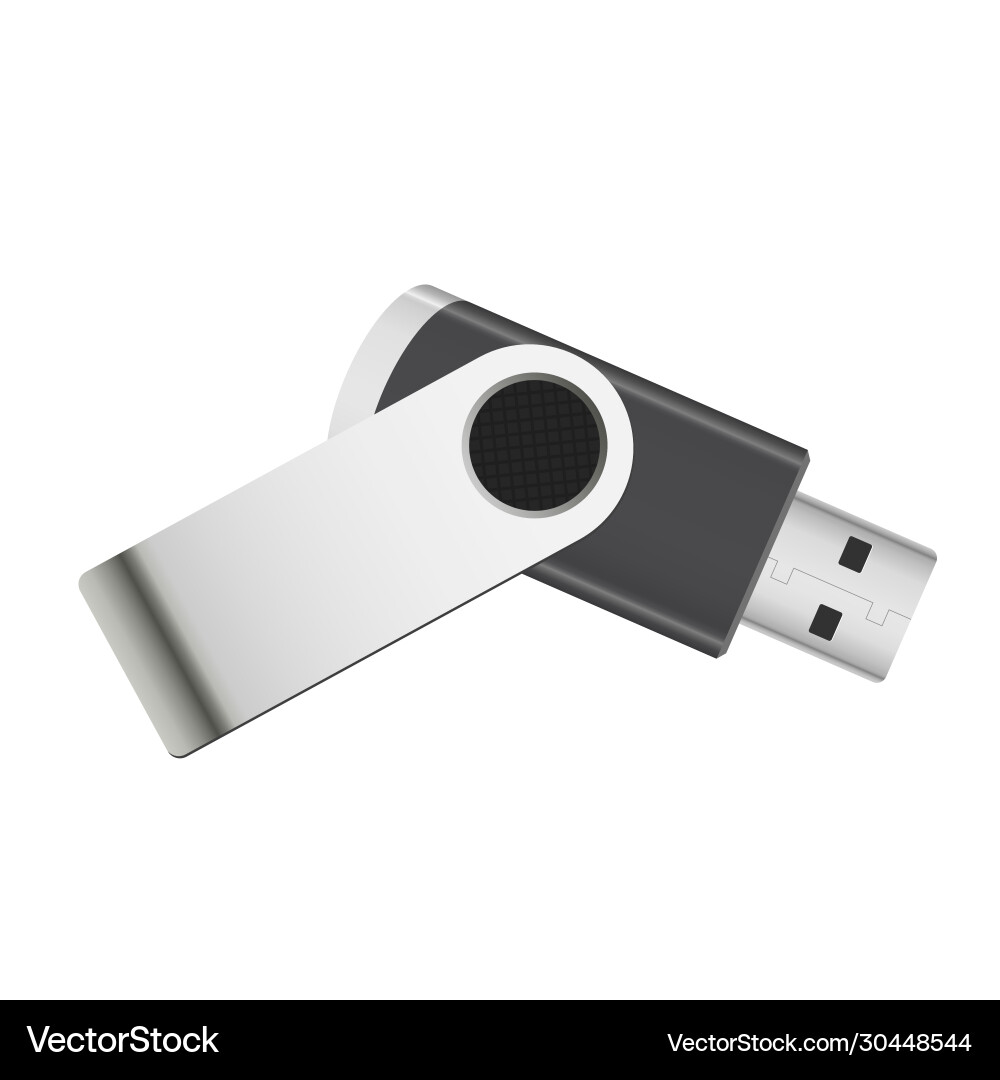 Memory stick Memory stick vector image