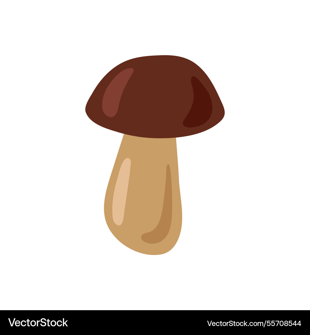 Set of elements in the autumn style Vector Image