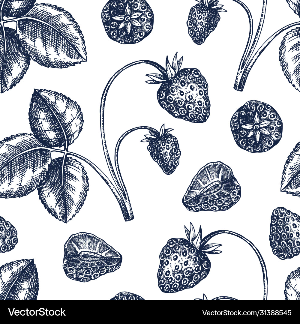 Hand drawn strawberries backdrop in engraved Hand drawn strawberries backdrop in engraved vector image