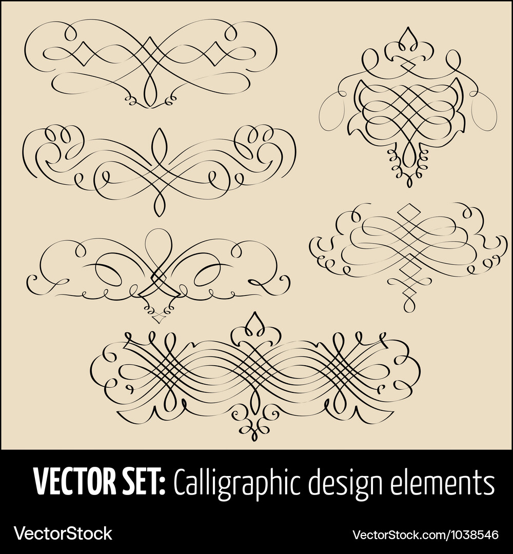 Elegant Calligraphic Swirls & Flourishes Vector Image