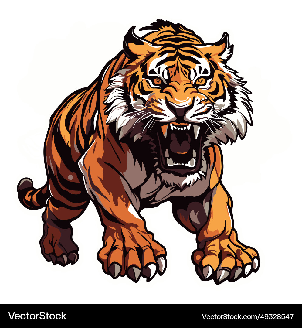 Angry tiger roar Royalty Free Vector Image - VectorStock