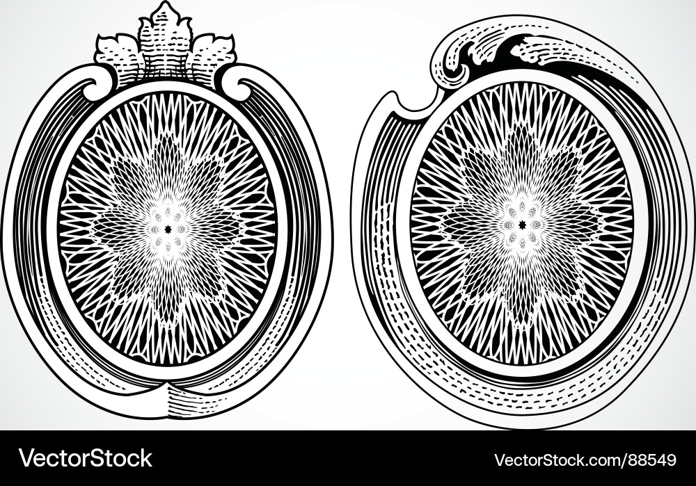 Elegant Scroll Ornaments Vector Image