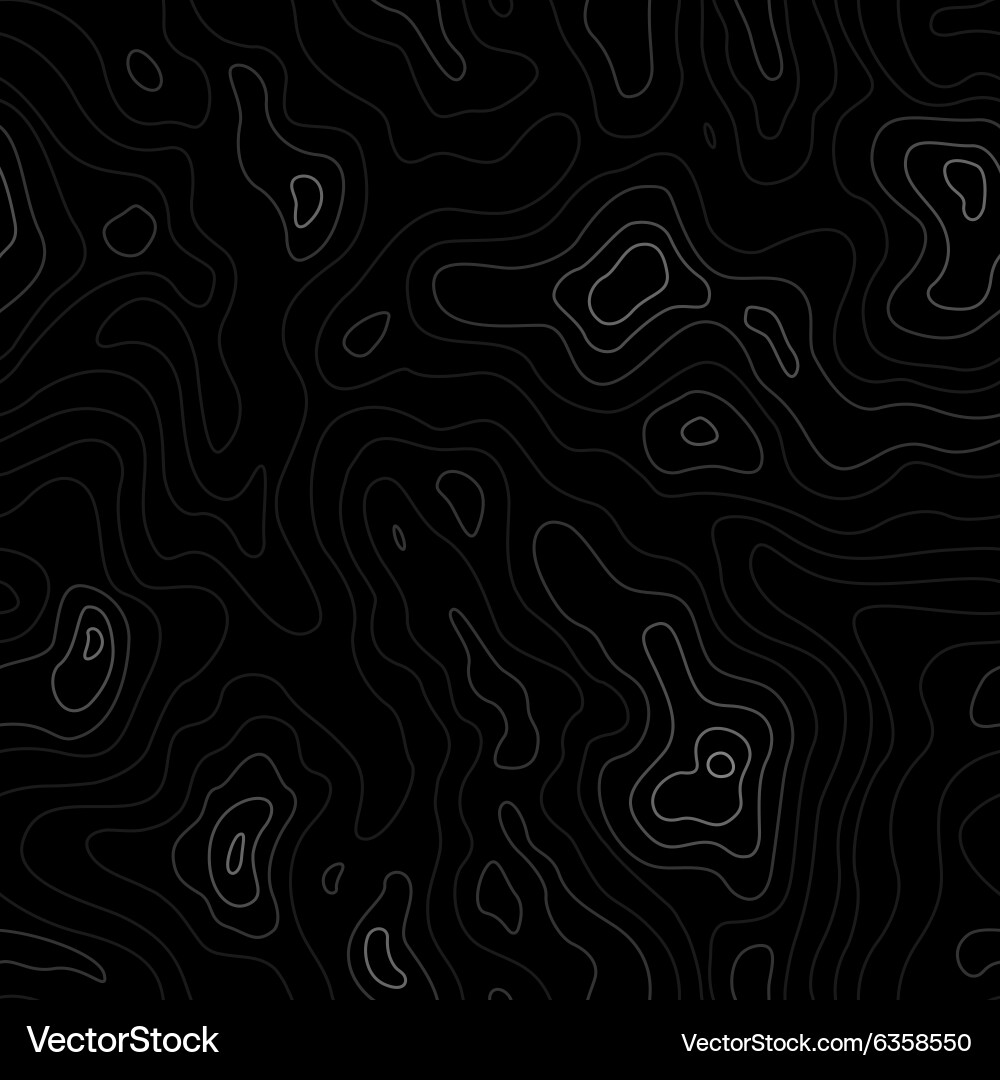 Topographic Map Seamless Pattern vector image