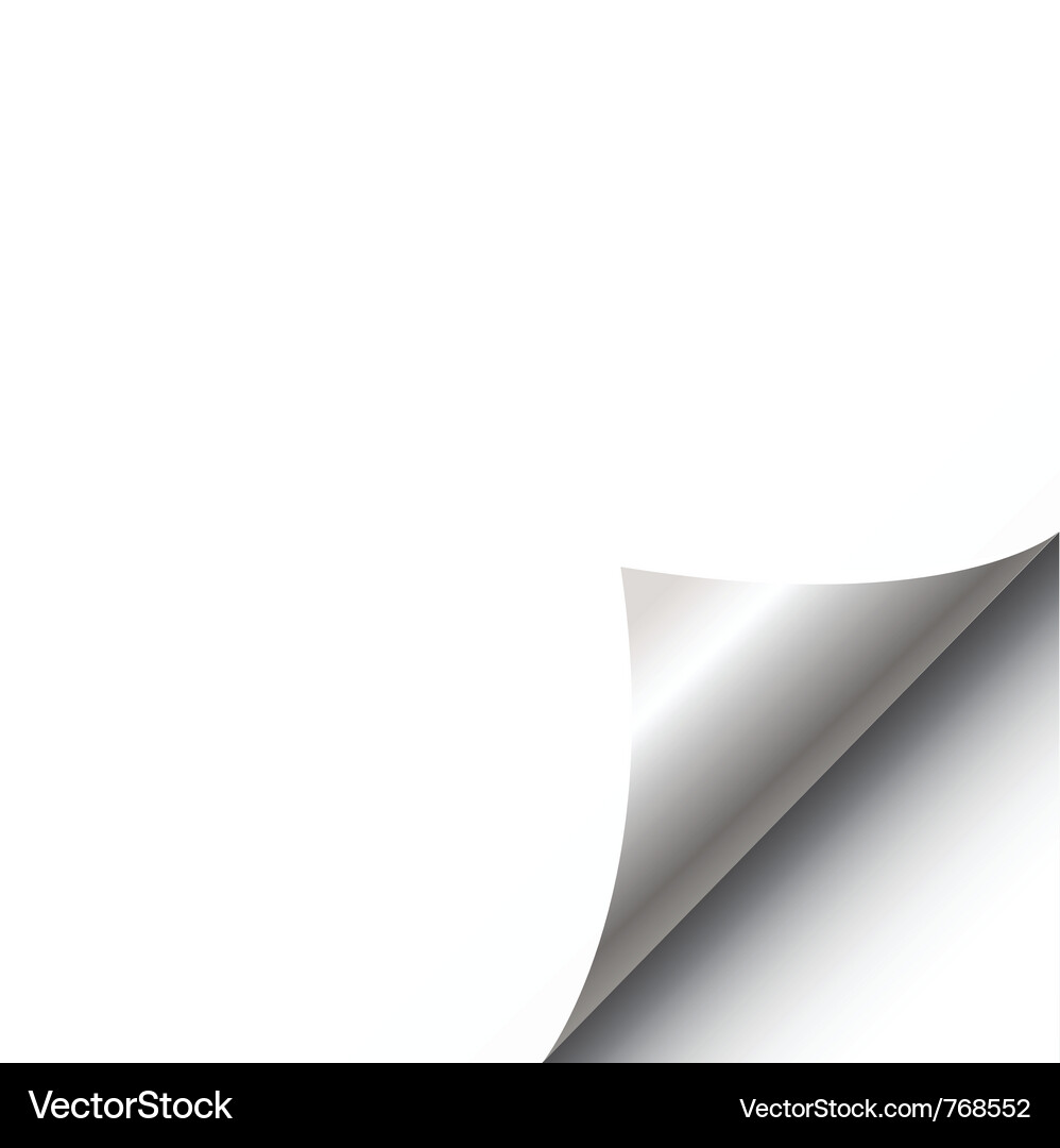 Paper Curl Vector Image