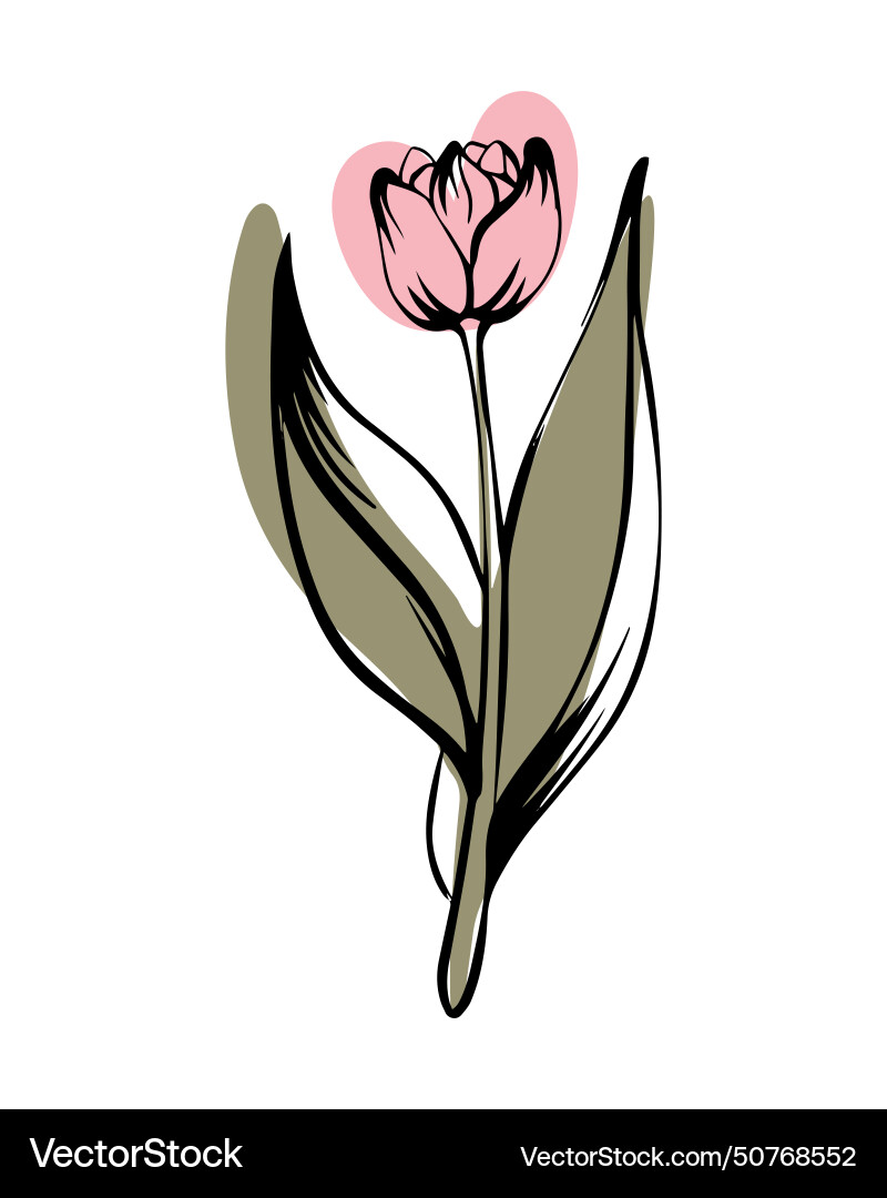 Tulip in sketch style with abstract color shapes Tulip in sketch style with abstract color shapes Vector Image