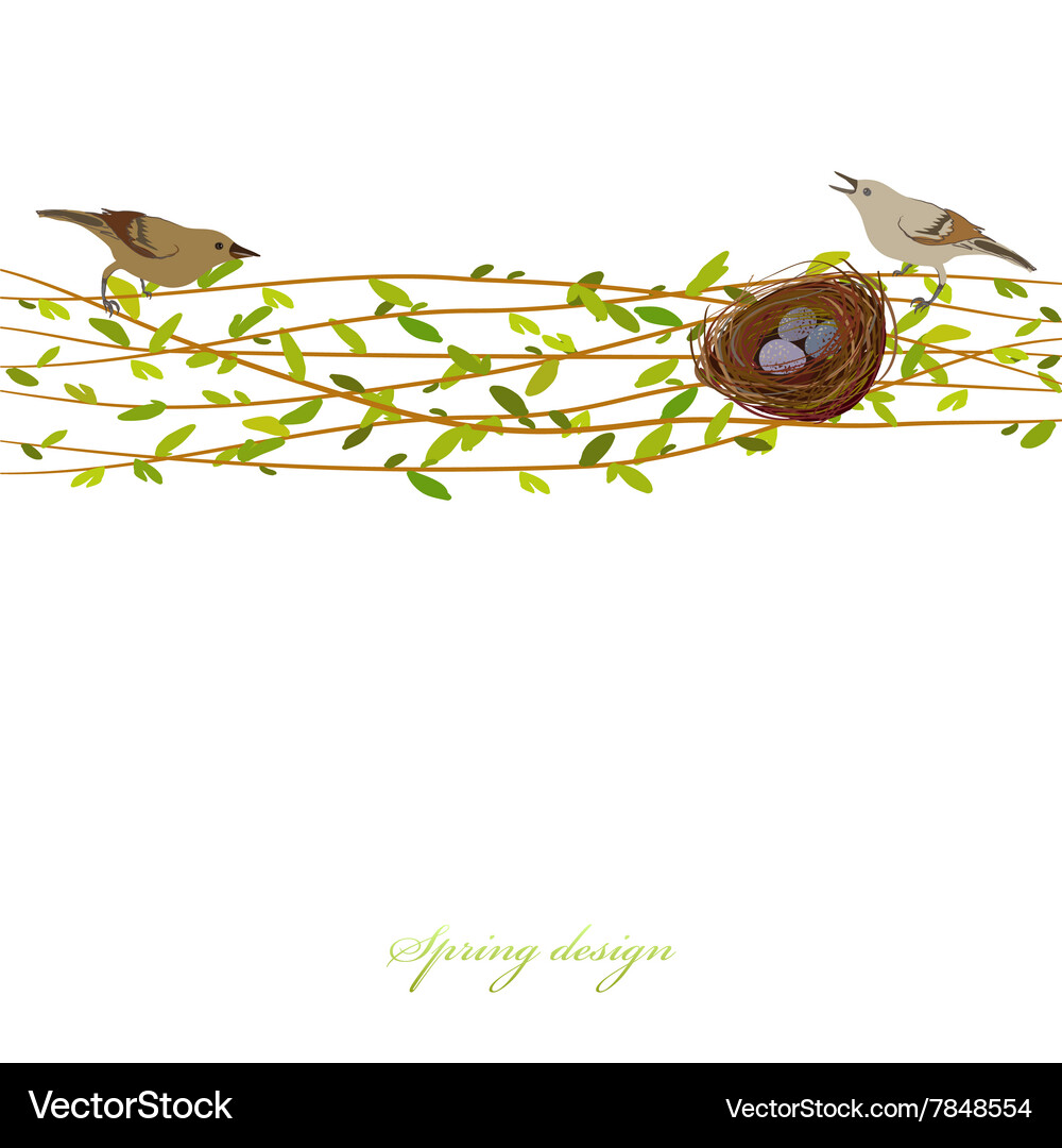 Spring Willow Branches with Nest Vector Image