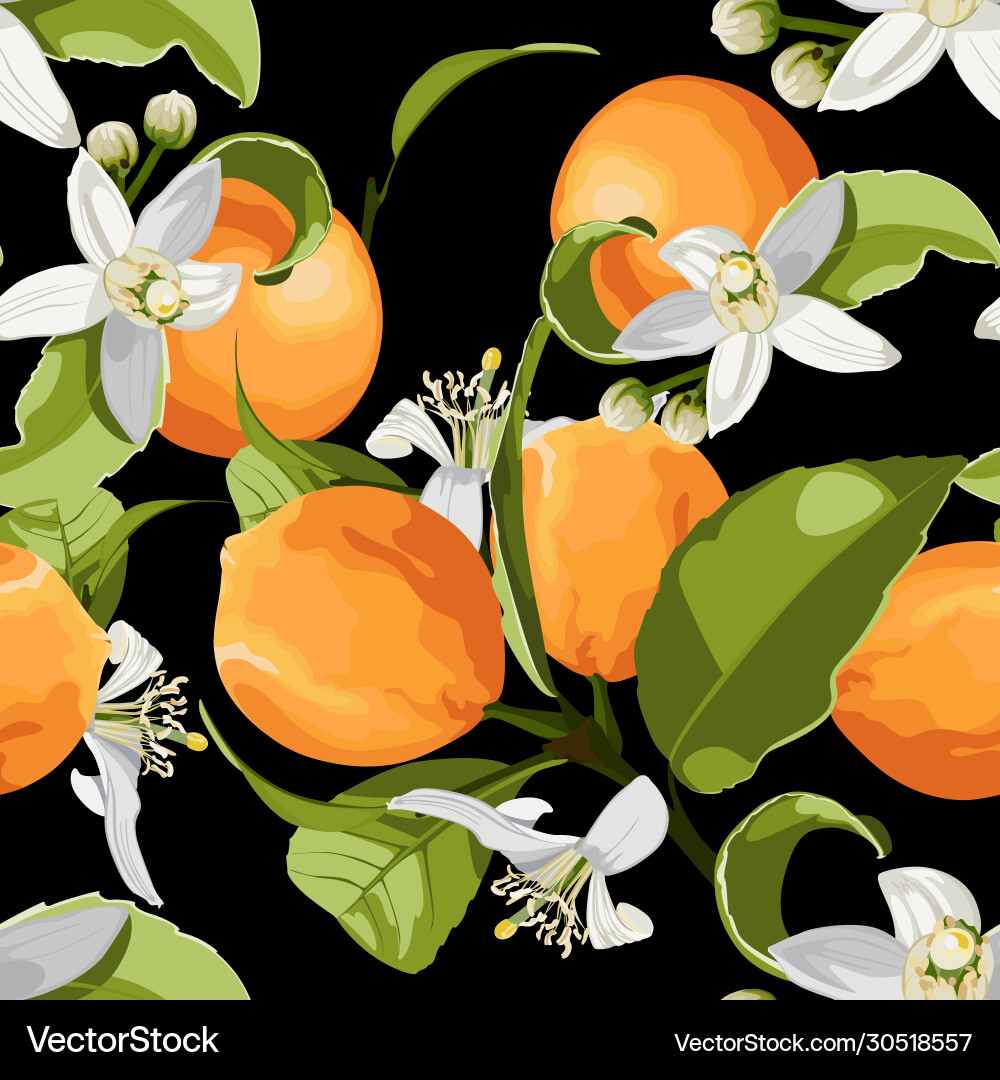 Citrus Branch Seamless Pattern Vector Image