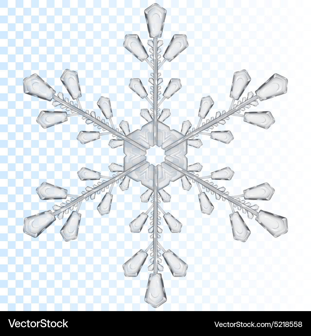 Isolated Transparent Snowflake vector image