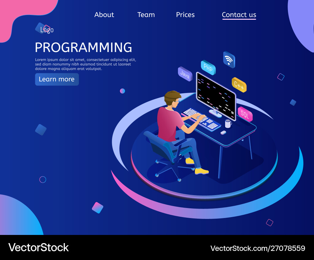 Isometric Programmer Coding vector image