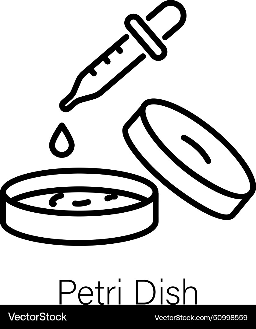 Petri dish Royalty Free Vector Image - VectorStock