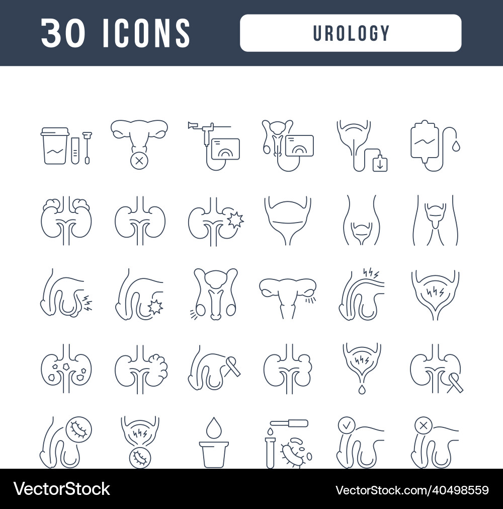 Set of linear icons urology Set of linear icons urology vector image