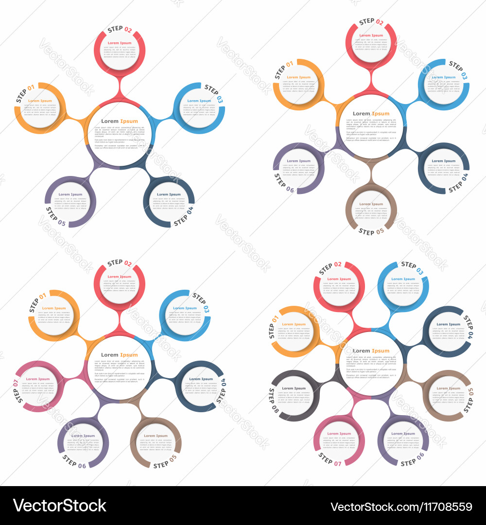 Workflow Diagram with Circular Elements vector image