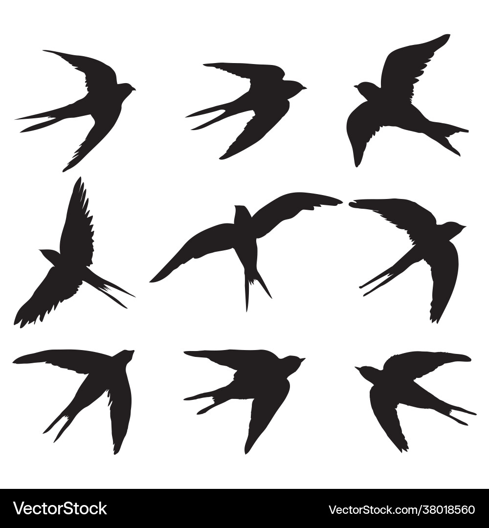 Black Swallow Silhouettes Set vector image