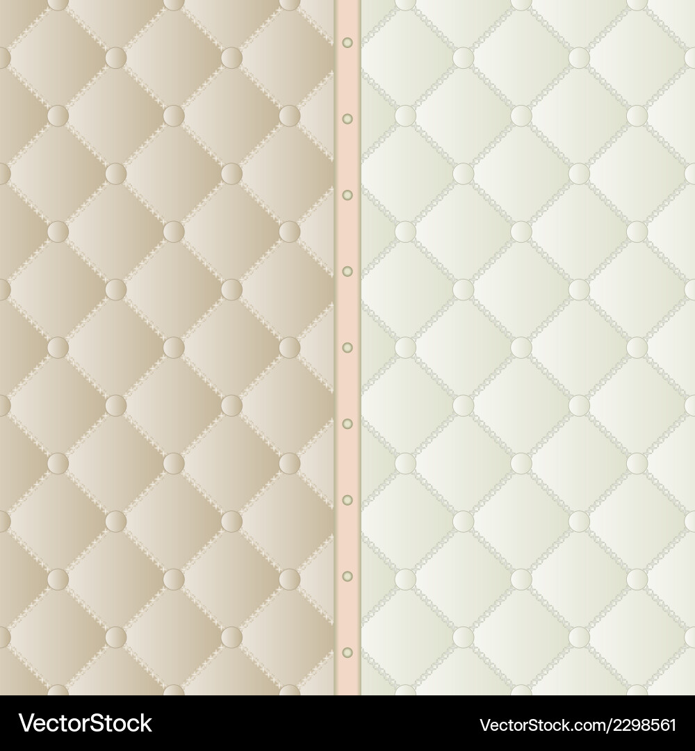 Divided background with pattern vector image
