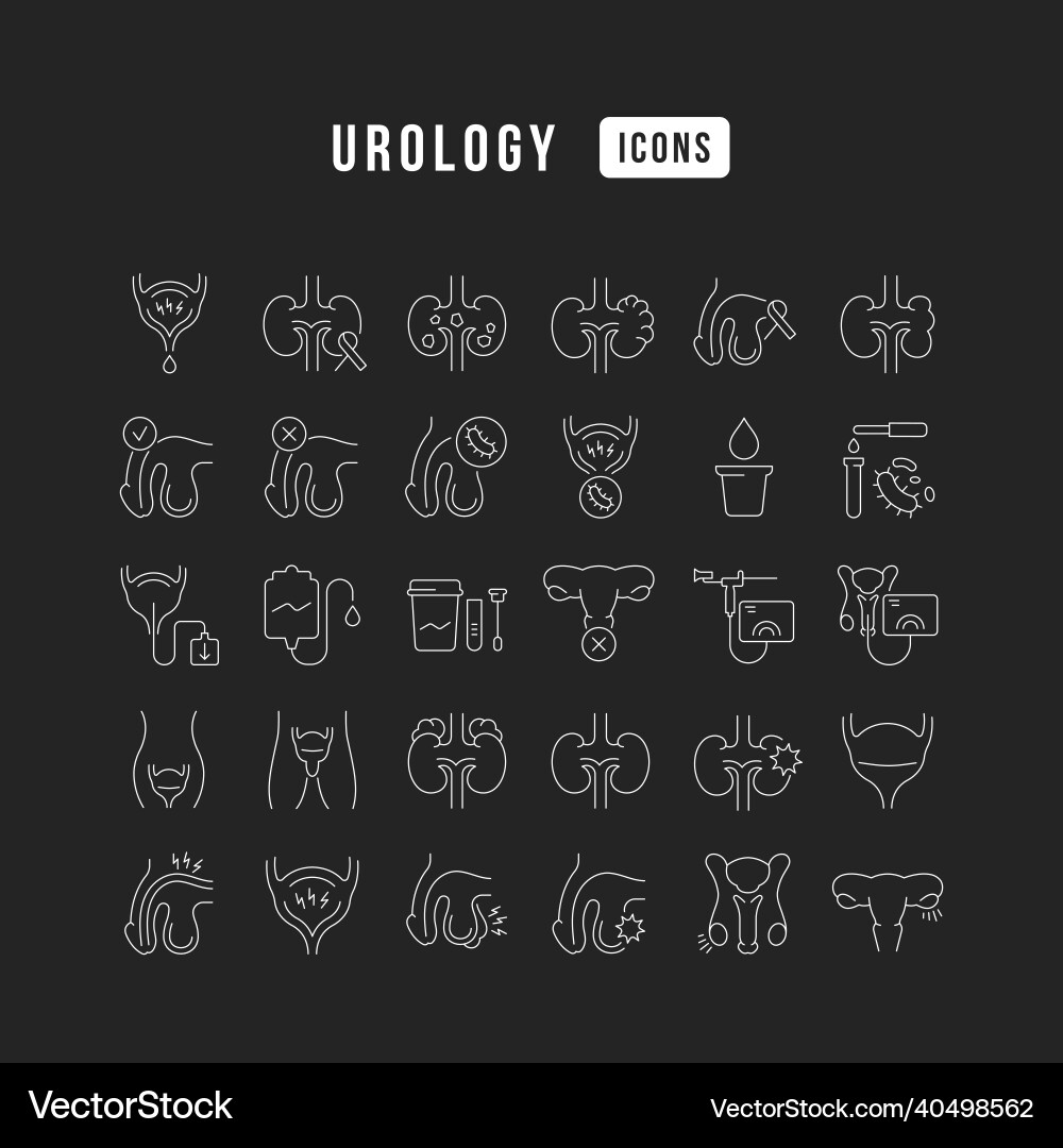 Set of linear icons urology vector image