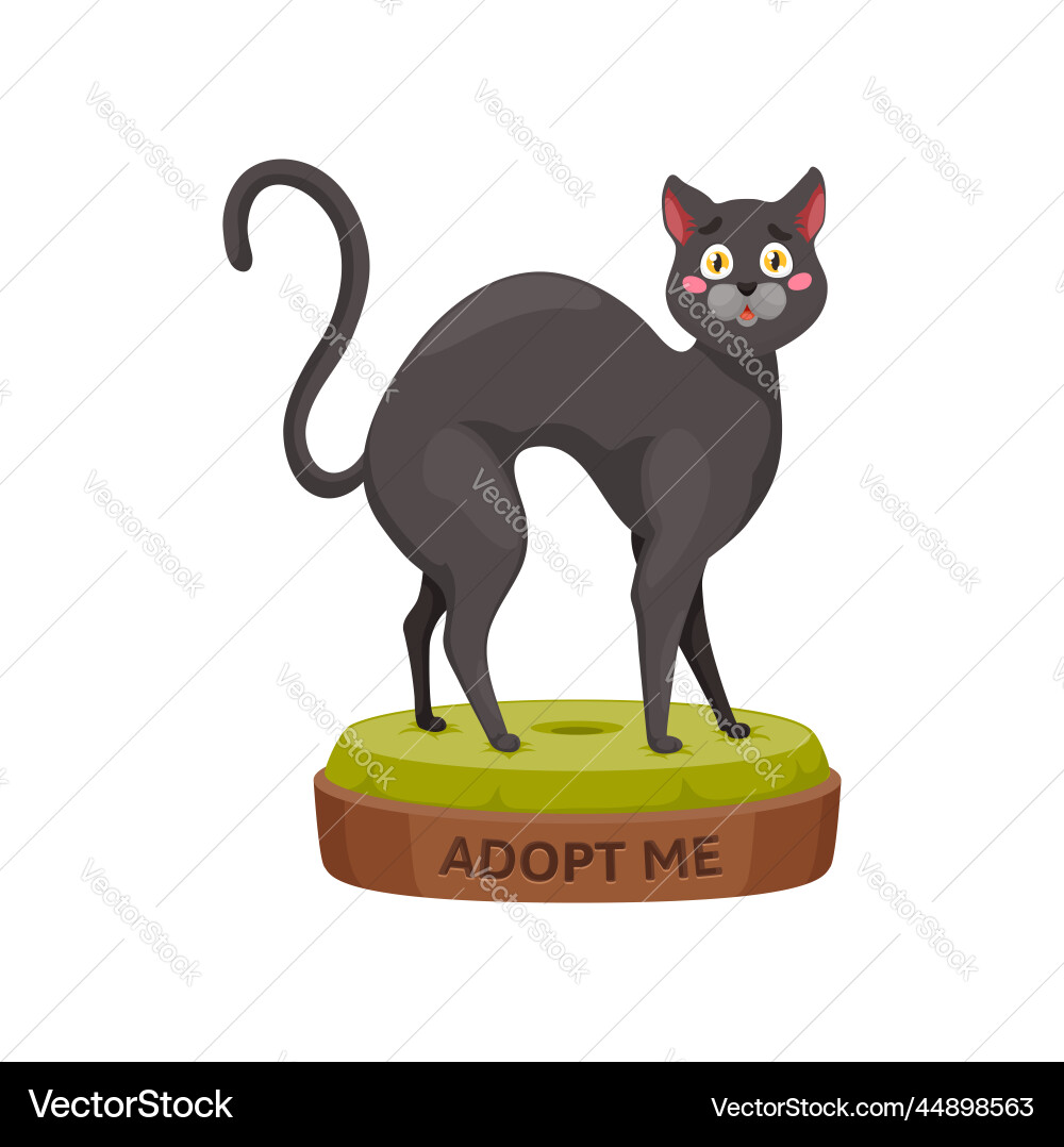 Adopt a cat stray pets Adoption helfen charity Adopt a cat stray pets Adoption helfen charity vektorbild