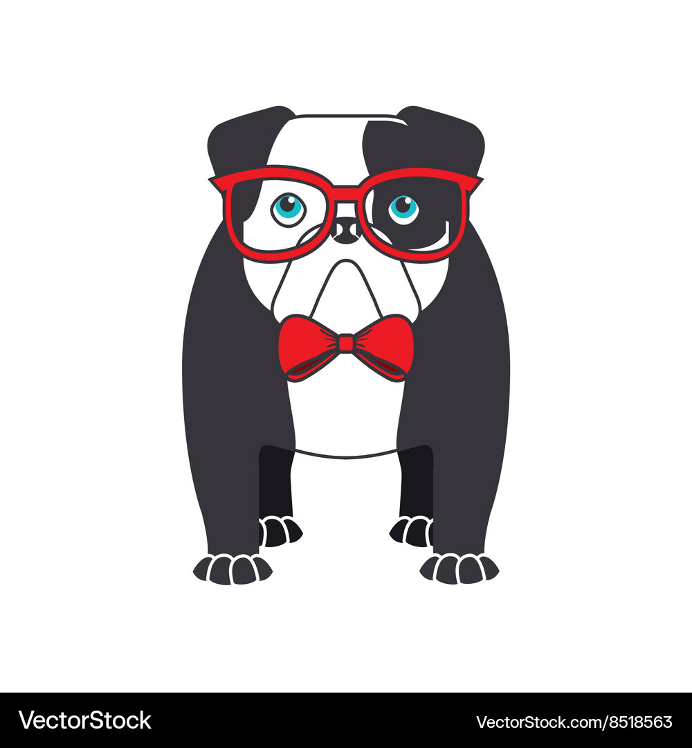 English bulldog design – Royalty-Free Vector | VectorStock, image size:1000x1080