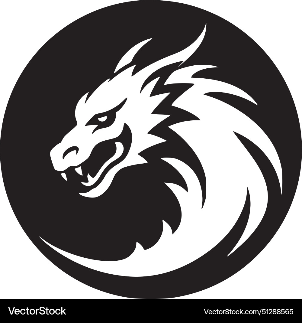 Dragon - hochwertiges Logo ideal für T-Shirt Dragon - hochwertiges Logo ideal für T-Shirt vektorbild
