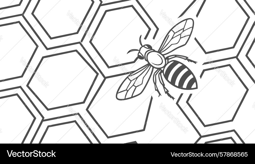 Honeycomb and bee abstract pattern design Vector Image