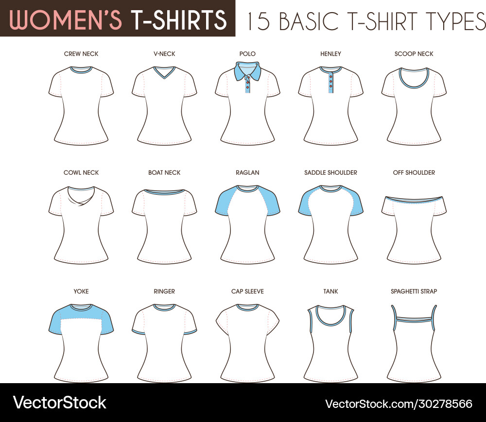 Womens basic t-shirt types Womens basic t-shirt types vector image