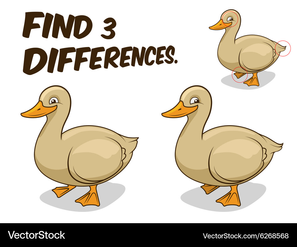 Find differences game duck Vector Image