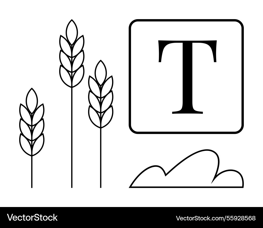 Wheat stalks with text element and minimalistic Vector Image
